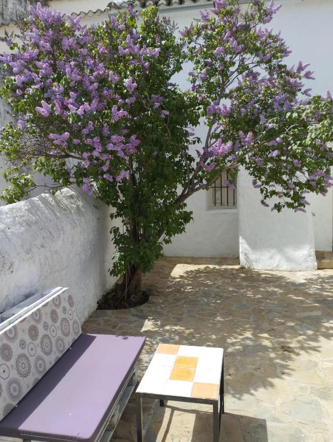 Canete la RealCasa Bejar, Tranquila Casa Con Chimenea, Patios, Junto A La Piscina别墅 外观 照片